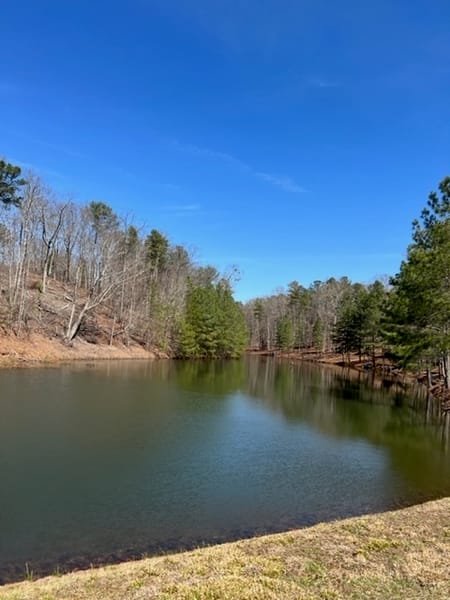 Ellijay, GA 30540 Gilmer County