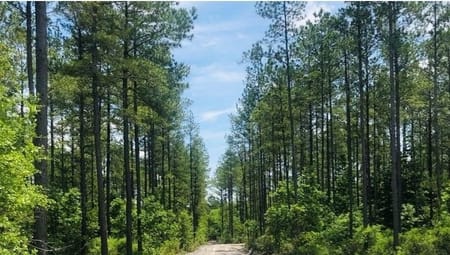St. George, GA 31562 Charlton County