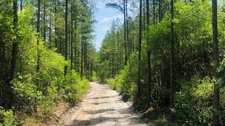 St. George, GA 31562 Charlton County
