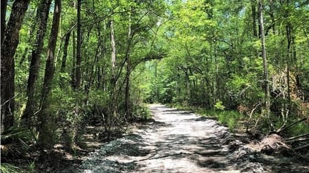 St. George, GA 31562 Charlton County
