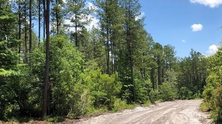 St. George, GA 31562 Charlton County