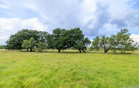 Fredericksburg, TX 78624 Gillespie County