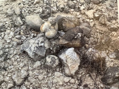Helotes, TX 78023 Medina County