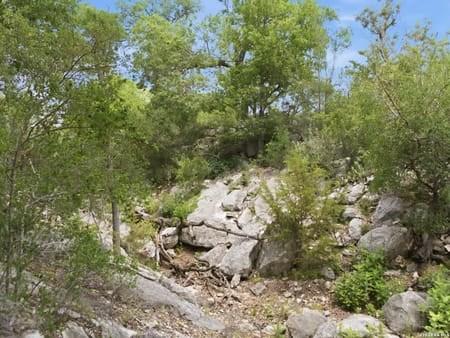 Boerne, TX 78006 Kendall County