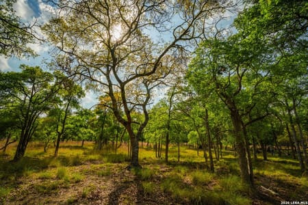 Comfort, TX 78013 Kendall County