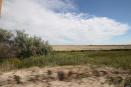 Torrington, WY 82240 Goshen County