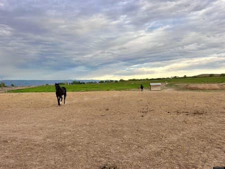 Greybull, WY 82426 Big Horn County