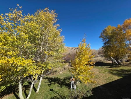 Dubois, WY 82513 Fremont County