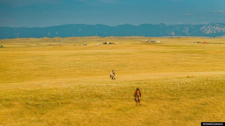 Buffalo, WY 82834-0000 Johnson County