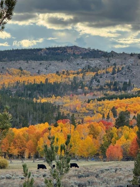 Lander, WY 82520 Fremont County