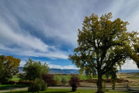 Greybull, WY 82426 Big Horn County