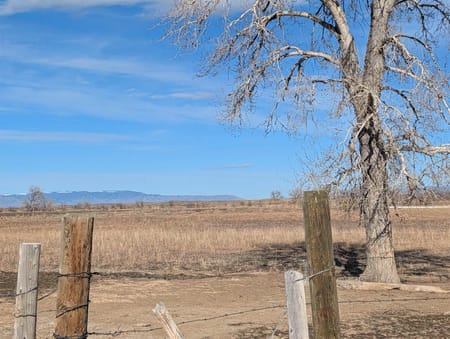 Byron, WY 82412 Big Horn County