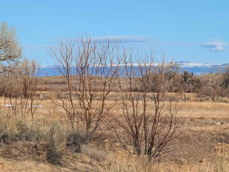 Byron, WY 82412 Big Horn County