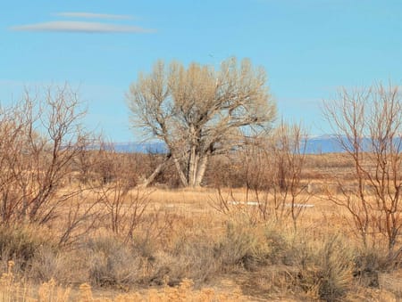 Byron, WY 82412 Big Horn County