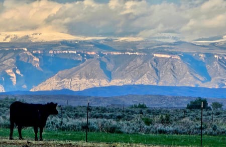 Byron, WY 82412 Big Horn County