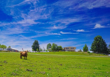 Greybull, WY 82426 Big Horn County