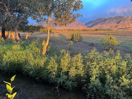 Clark, WY 82435 Park County