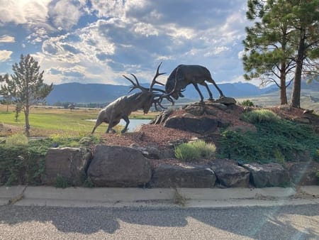 Cody, WY 82414 Park County