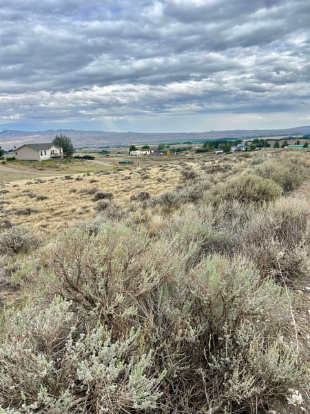 Cody, WY 82414 Park County