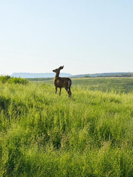 Ten Sleep, WY 82442 Washakie County