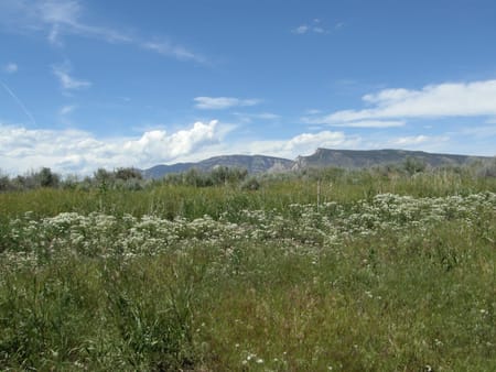 Cody, WY 82414 Park County