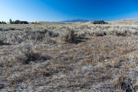 Cody, WY 82414 Park County