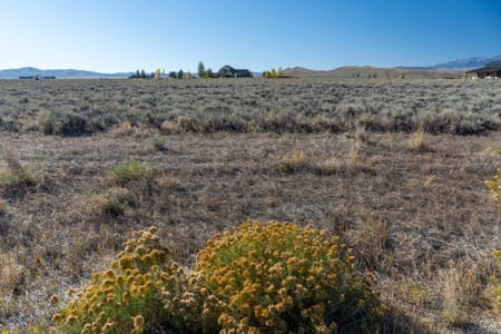 Cody, WY 82414 Park County