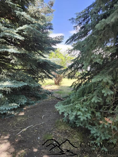 Cody, WY 82414 Park County