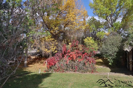 Cody, WY 82414 Park County