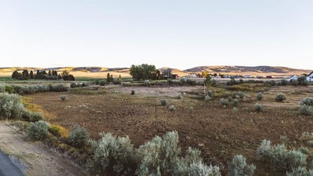 Cody, WY 82414 Park County