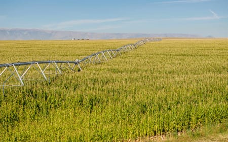 Powell, WY 82435 Park County