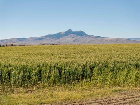 Powell, WY 82435 Park County