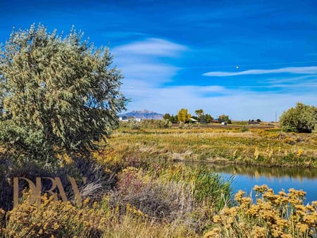 Cody, WY 82414 Park County
