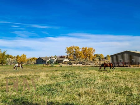 Cody, WY 82414 Park County