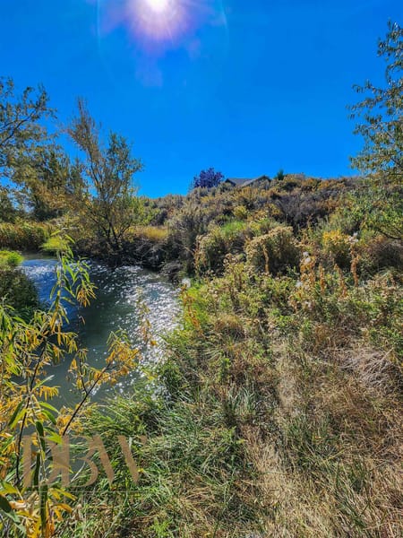 Cody, WY 82414 Park County