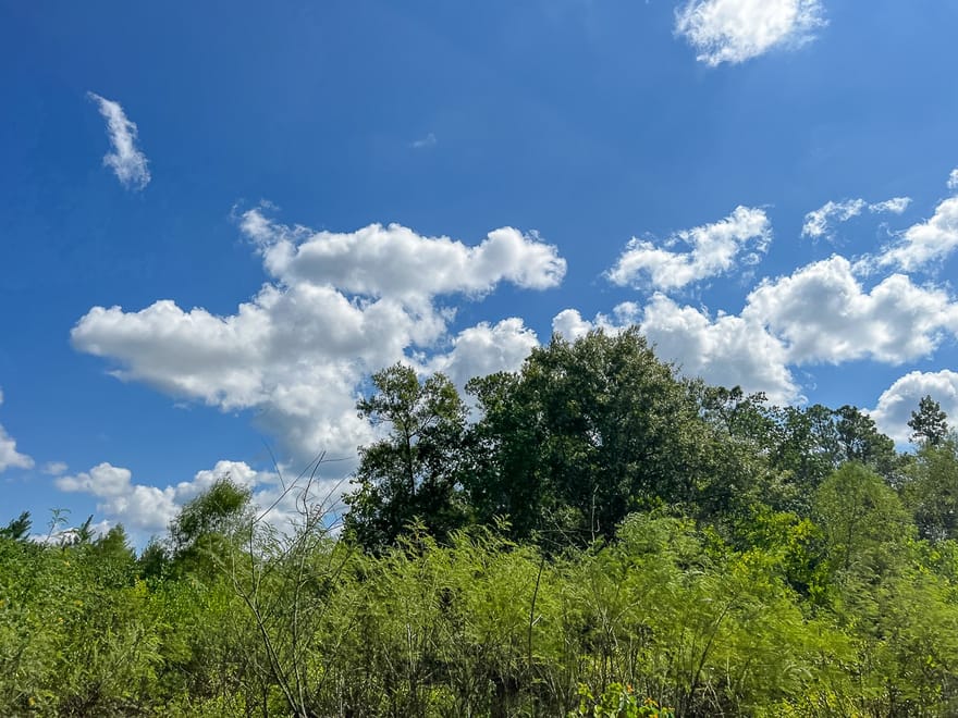 Fm 1010, Cleveland, Texas