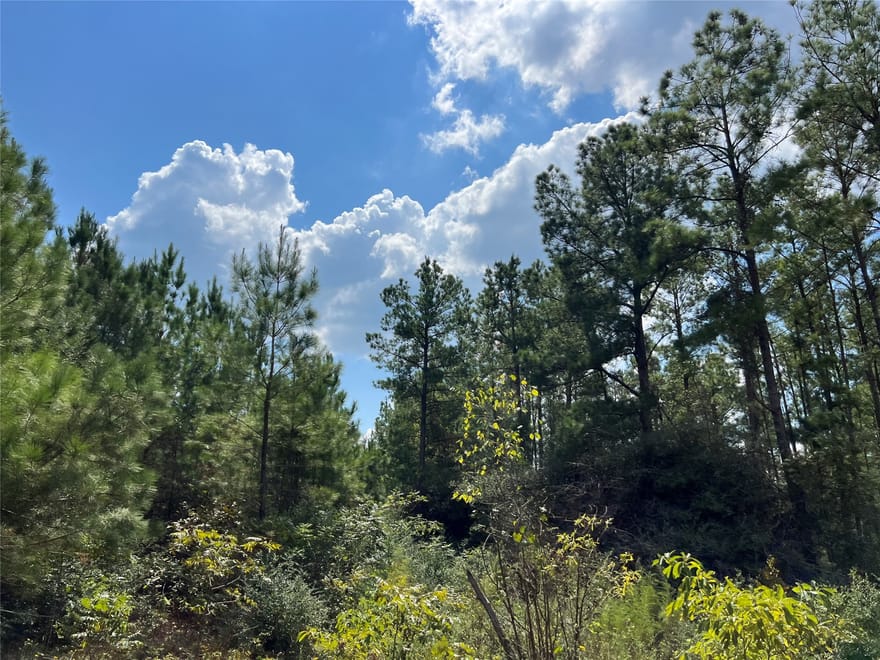 07 Fm 247, Huntsville, Texas