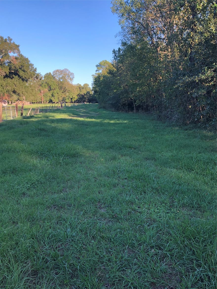 TBD Hwy 321, Dayton, Texas