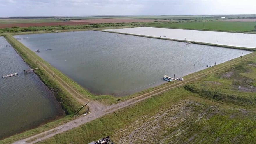 7979 Goyo Garcia Road, Raymondville, Texas