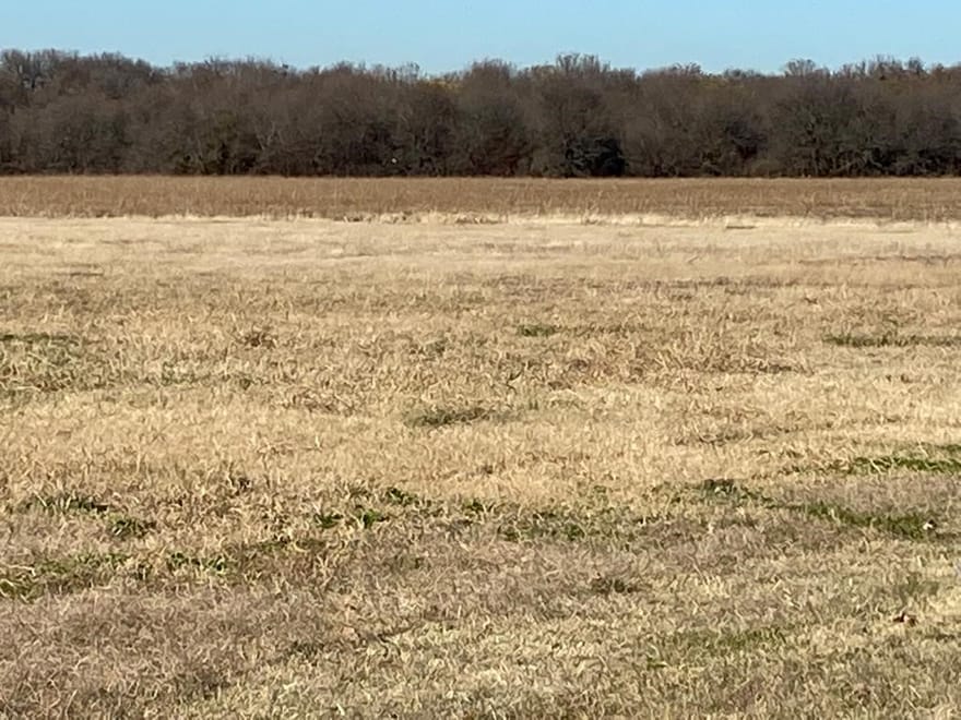 HWY 289 Tx-289, Gunter, Texas