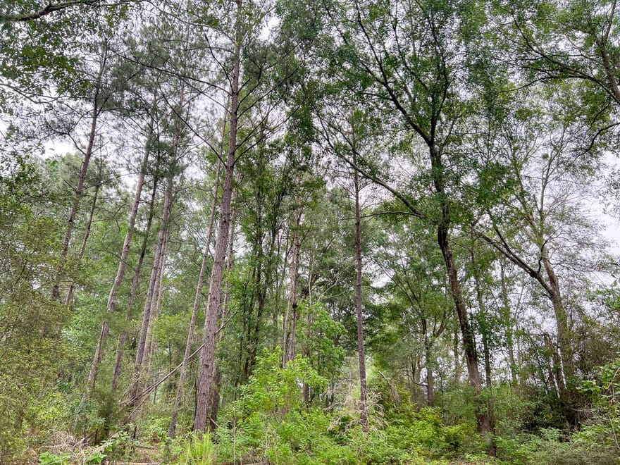 Fm 1475, Lufkin, Texas