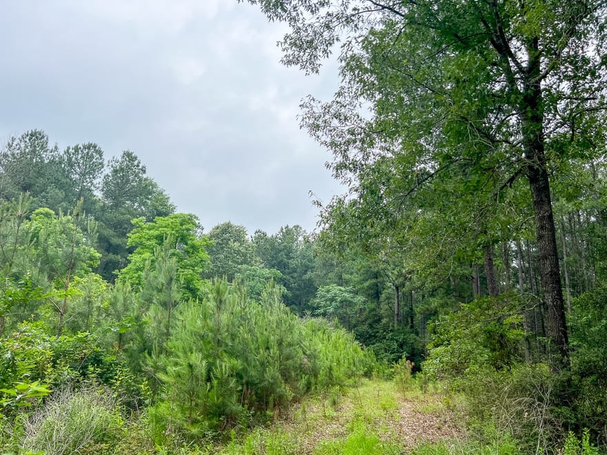 Fm 1475, Lufkin, Texas