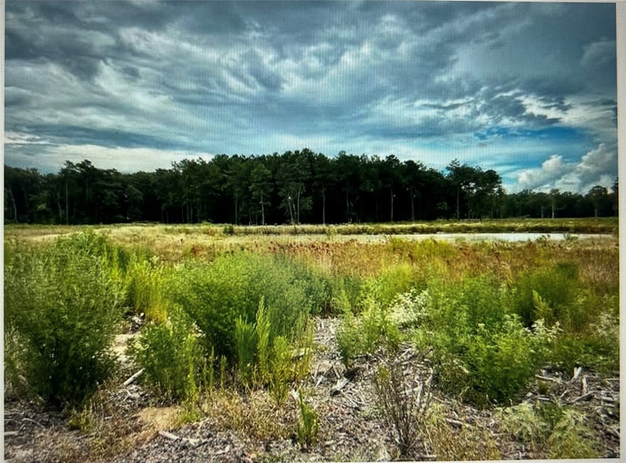 TBD 28 acres County Road 2184, Cleveland, Texas
