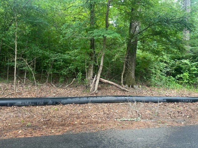 Highway 539, Mansfield, Louisiana