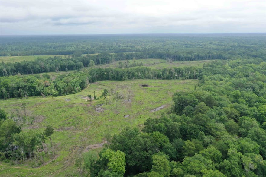 TBD Cr 449- Socagee Creek Road, Carthage, Texas