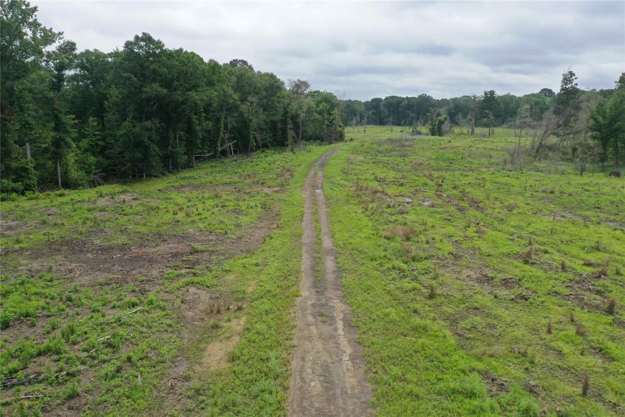 TBD Cr 449- Socagee Creek Road, Carthage, Texas