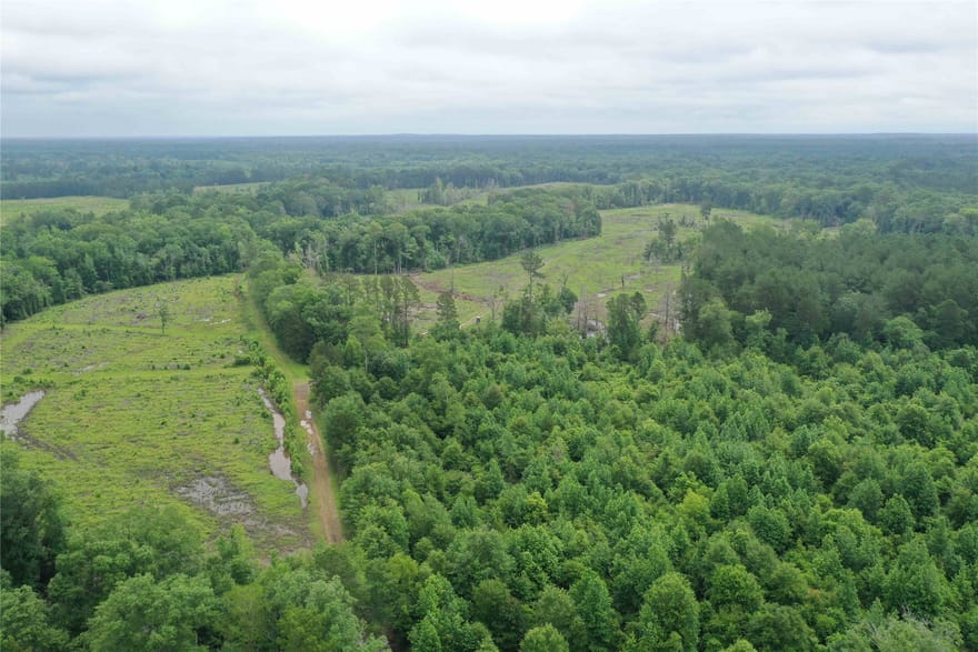 TBD Cr 449- Socagee Creek Road, Carthage, Texas