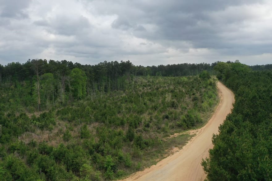 Lot 2 Denning Cr 255, San Augustine, Texas