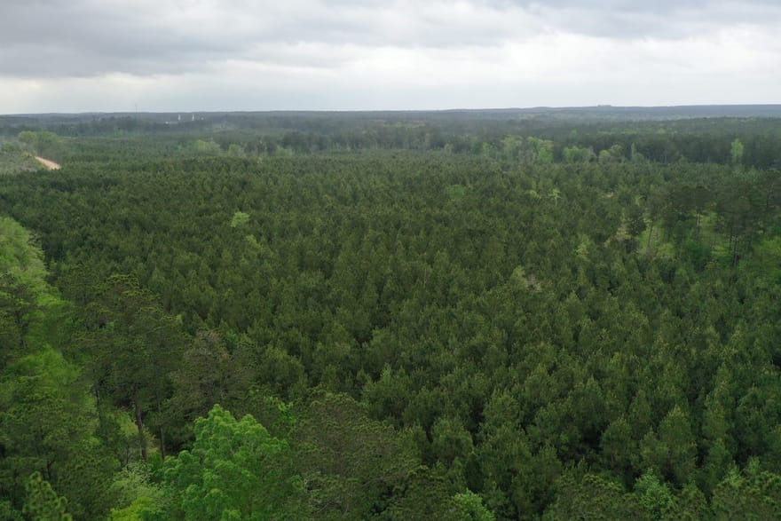 Tract 3 Cr 255, San Augustine, Texas