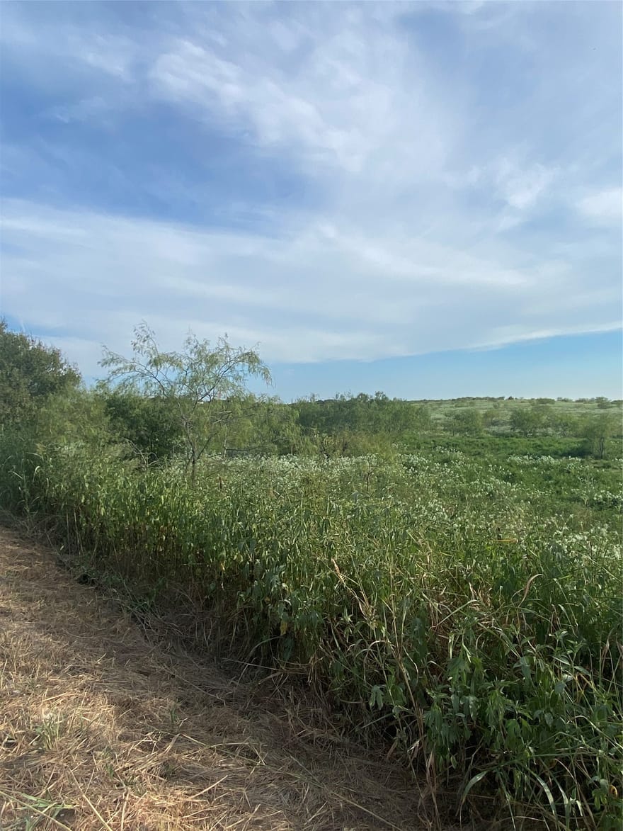 TBD County Road 3254, Mount Calm, Texas